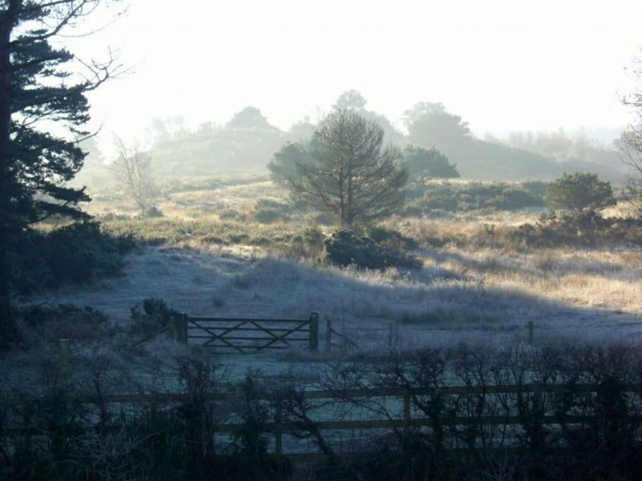 Home In Dorset, Near Jurassic Coast And Arne Wareham Ngoại thất bức ảnh